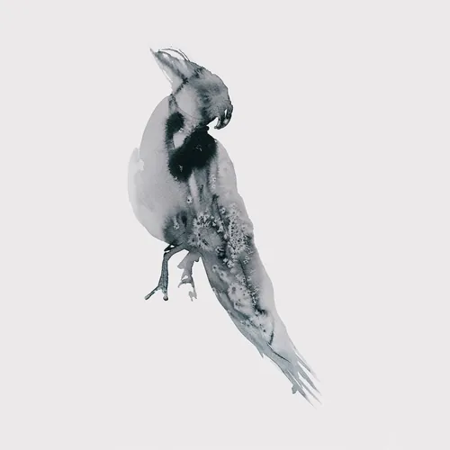 Abstract black and white bird illustration with ink texture