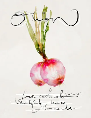 Watercolor radishes with green stems and handwritten text by Marta Spendowska