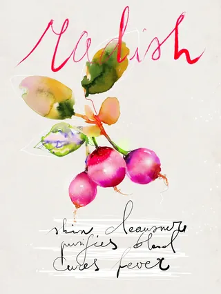 Lettering illustration by Marta Spendowska illustrator
