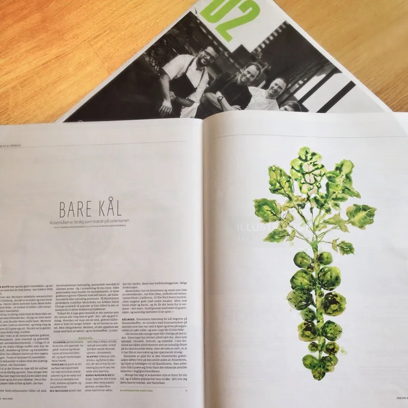 Magazine spread showing detailed plant illustration and article text by Marta Spendowska