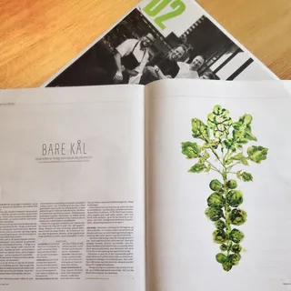 Magazine spread showing detailed plant illustration and article text by Marta Spendowska