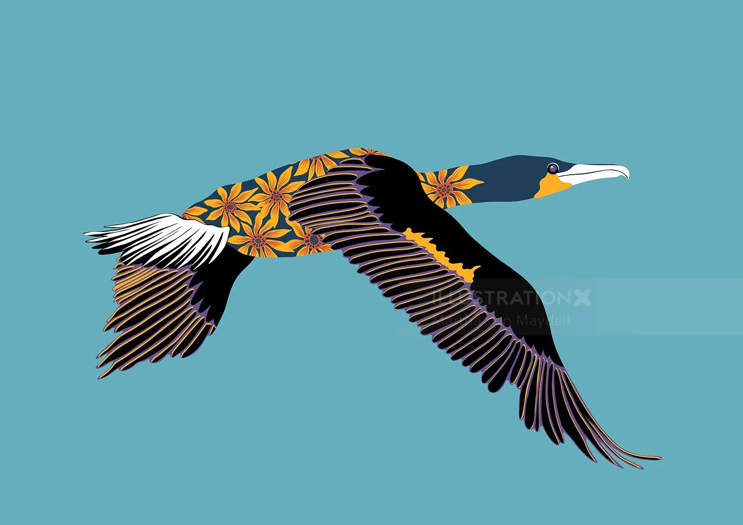 Cormorant flying with orange floral wings illustration by Martha von Maydell
