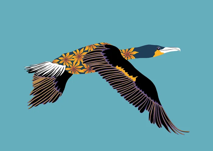 Cormorant flying with orange floral wings illustration by Martha von Maydell