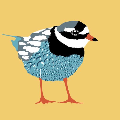 Digital illustration of a blue and white bird with orange legs by Martha von Maydell