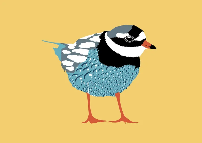 Digital illustration of a blue and white bird with orange legs by Martha von Maydell