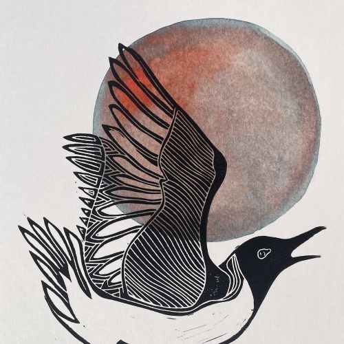 Black and white bird flying with a red circle behind by Martha von Maydell