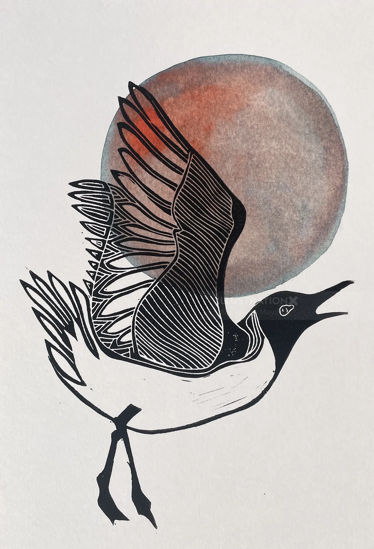 Black and white bird flying with a red circle behind by Martha von Maydell