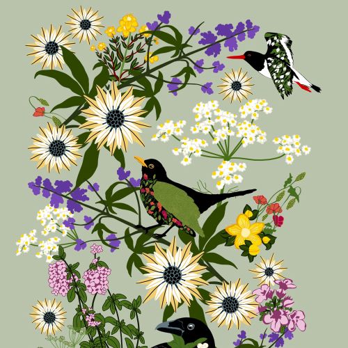 Illustration of birds among wildflowers by Martha von Maydell