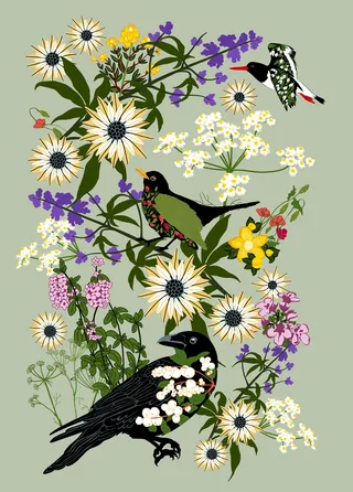 Illustration of birds among wildflowers by Martha von Maydell