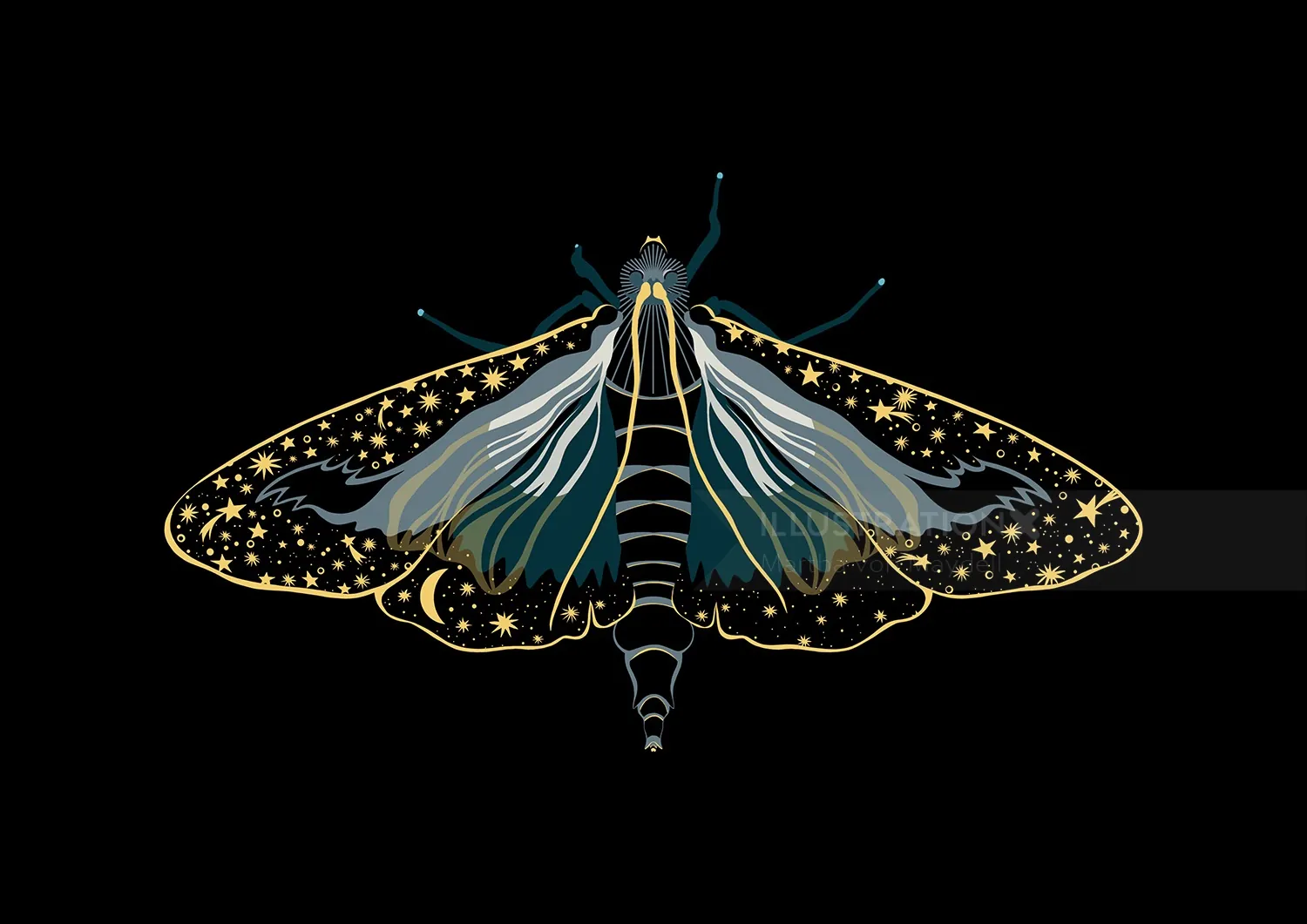 Stylized moth with cosmic star patterns on black background by Martha von Maydell