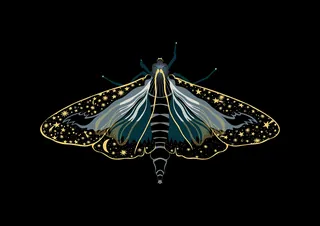 Stylized moth with cosmic star patterns on black background by Martha von Maydell