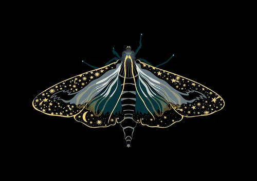 Stylized moth with cosmic star patterns on black background by Martha von Maydell