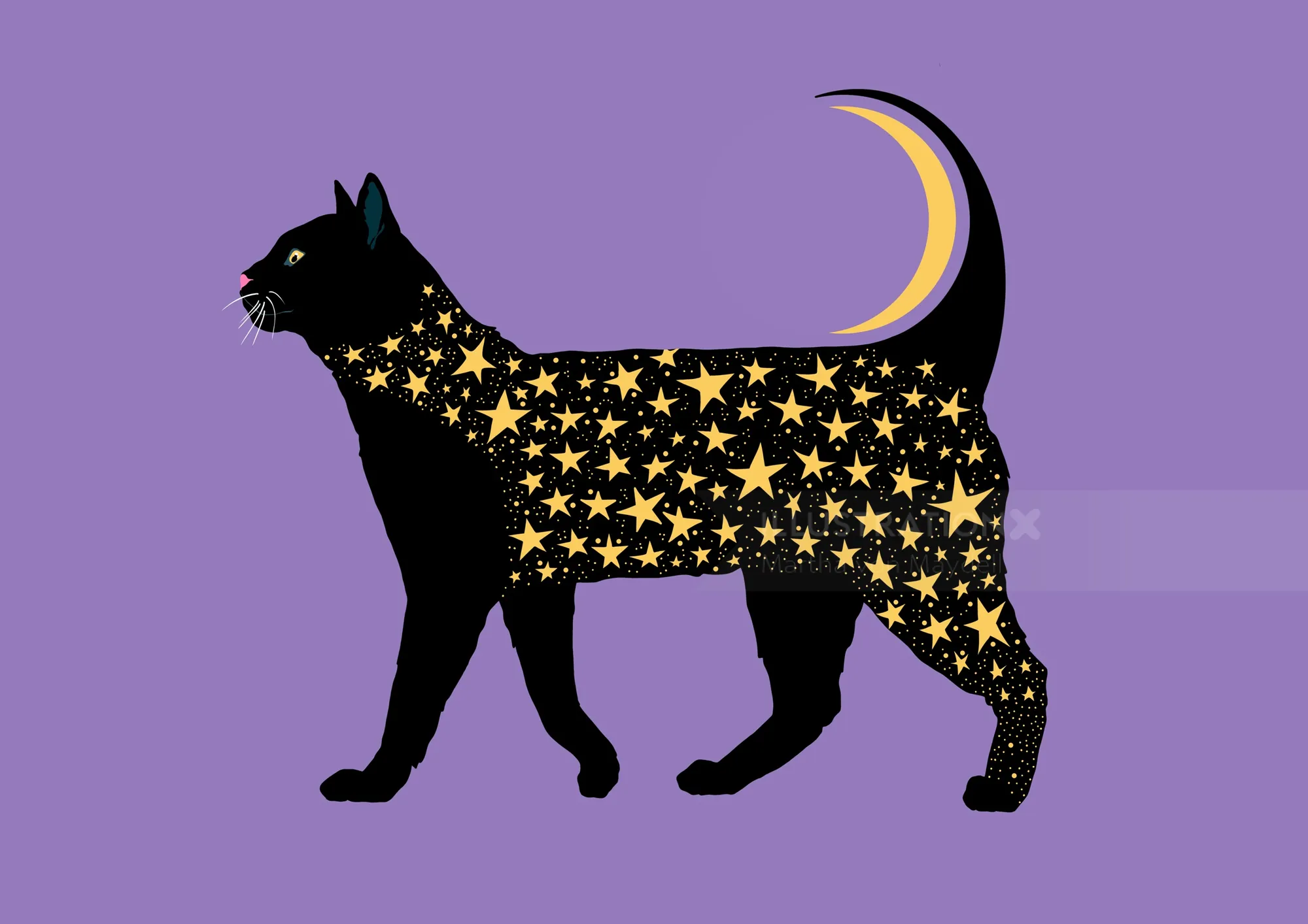 Black cat silhouette with golden stars and crescent moon on purple background