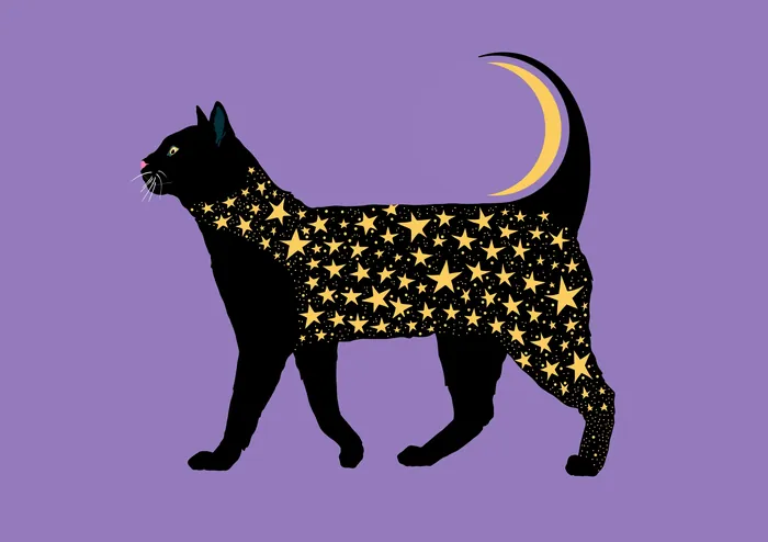 Black cat silhouette with golden stars and crescent moon on purple background