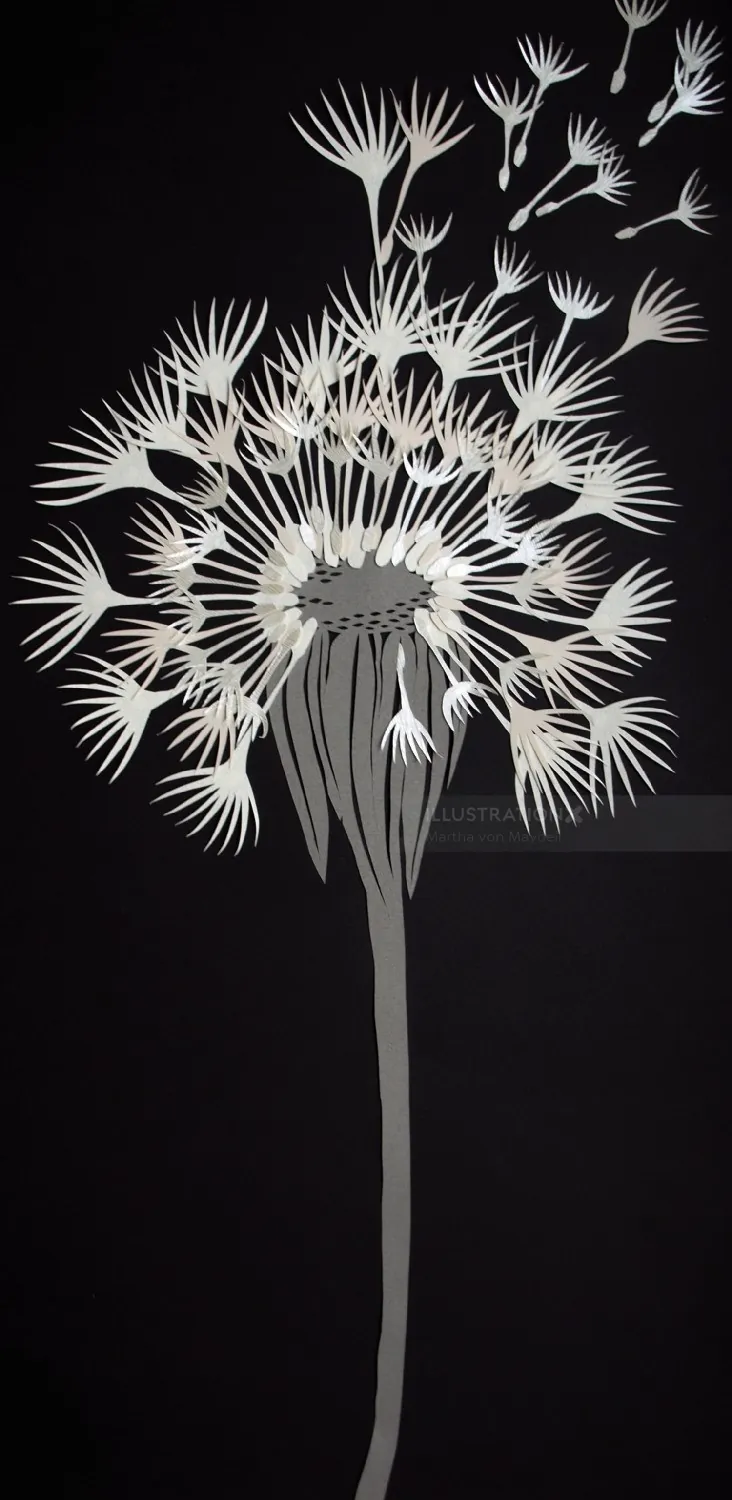 White dandelion seed head on black background, illustration by Martha von Maydell