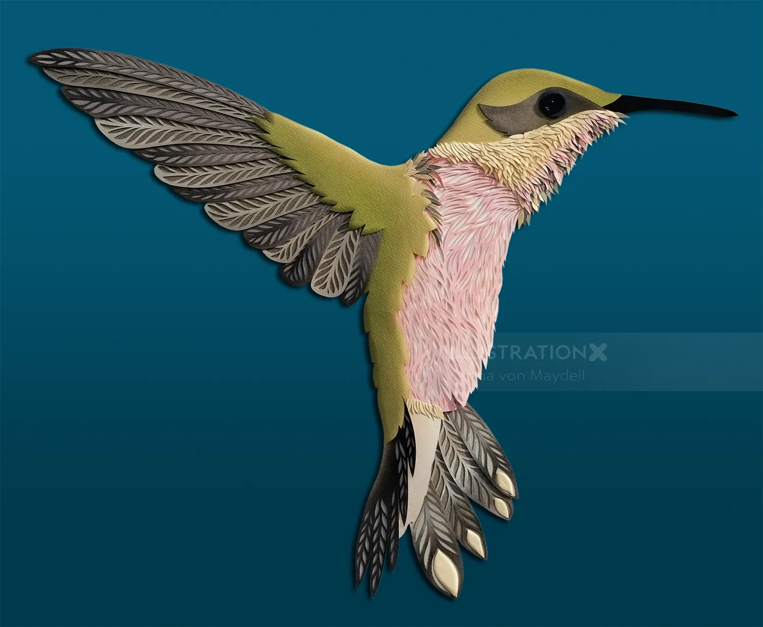 Intricate hummingbird illustration with detailed feathers by Martha von Maydell