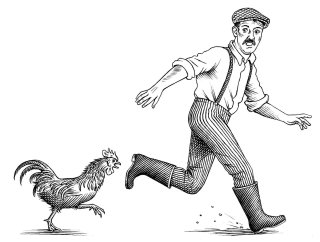 Hombre blanco y negro huyendo del gallo