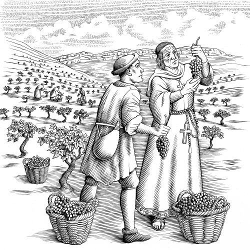 Medieval figures harvesting grapes in vineyard, black and white drawing by Martin Hargreaves