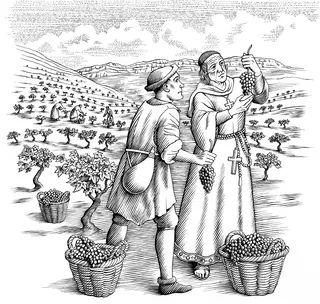 Medieval figures harvesting grapes in vineyard, black and white drawing by Martin Hargreaves
