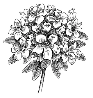 Black and white floral bouquet drawing by Martin Hargreaves