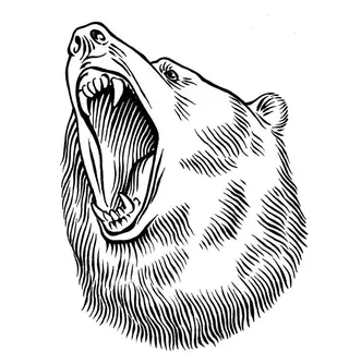 Detailed black and white roaring bear head drawing by Martin Hargreaves