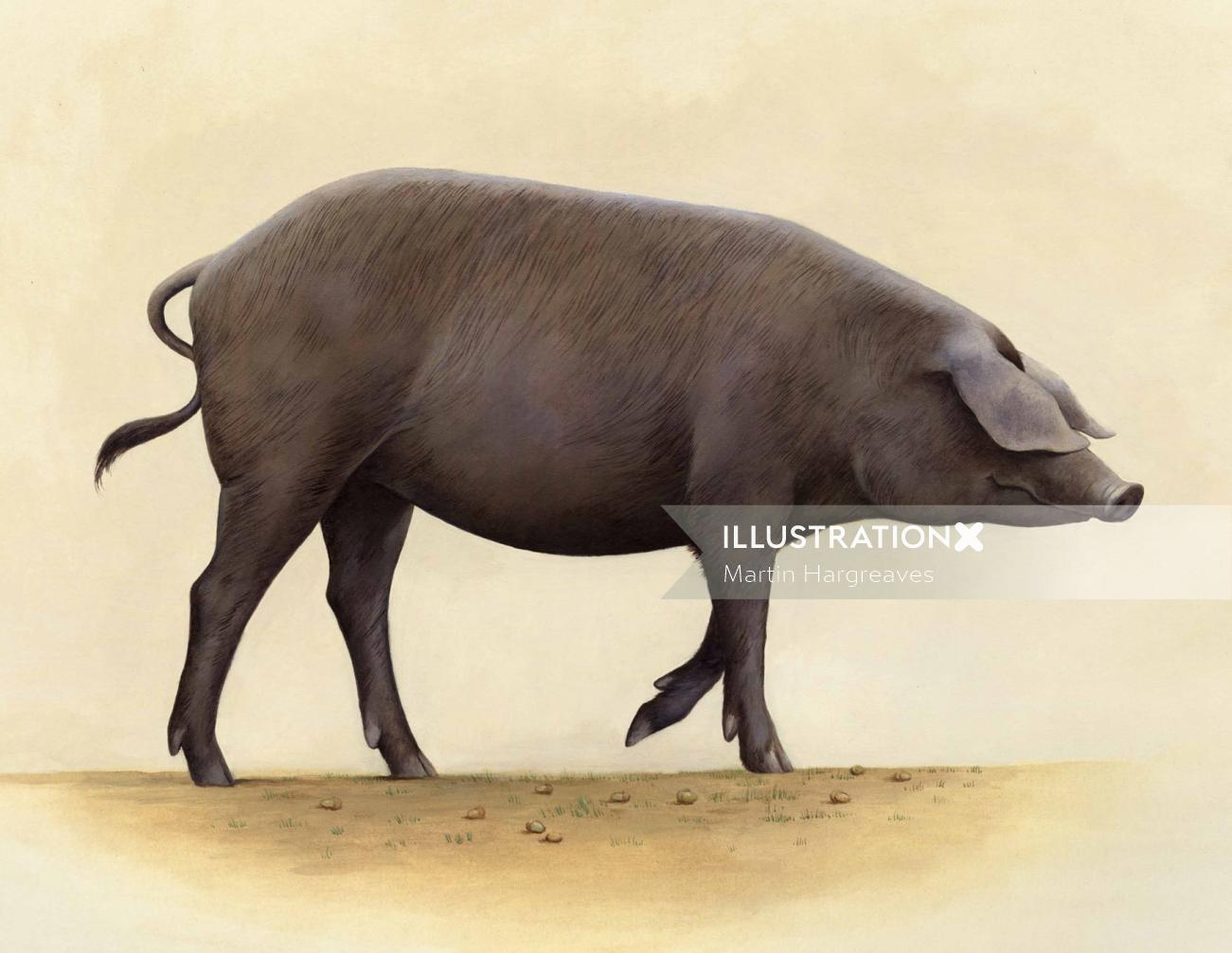 動物の大きな豚