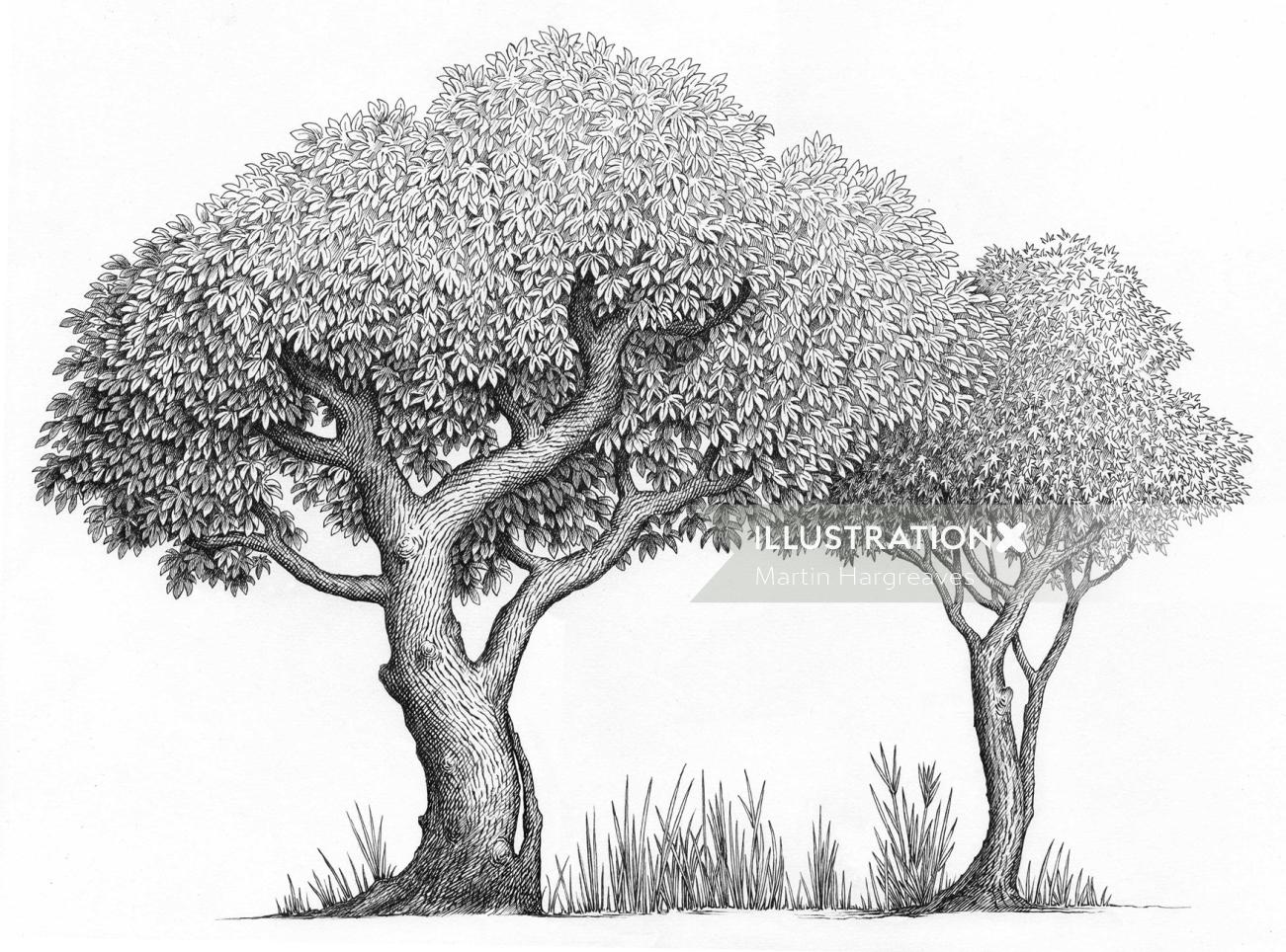 黒と白の木