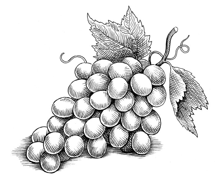 Black & White grapes