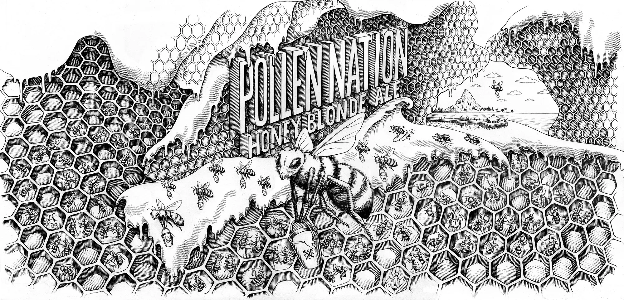 Black & White pollination Honey blonde ale