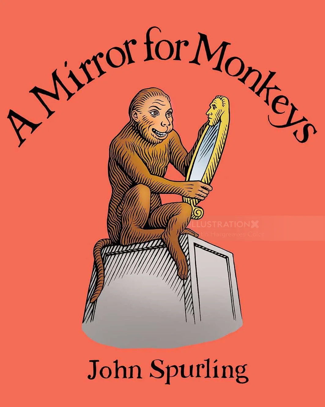 Monkey holding a hand mirror, illustration by Martin Hargreaves