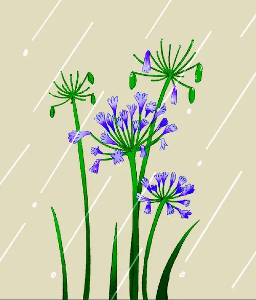 Flowers in the rain