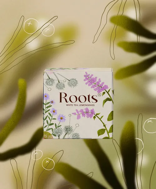 Roots tea package by Martina Curiotto surrounded by botanical leaves
