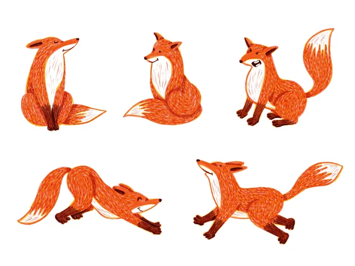 Illustrations of a red fox in various poses and expressions