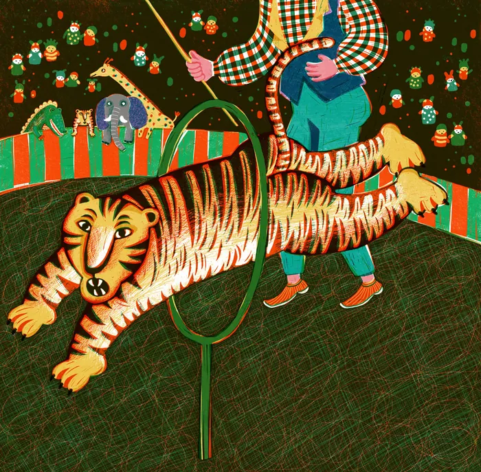 Tiger leaping through hoop in circus with animals watching