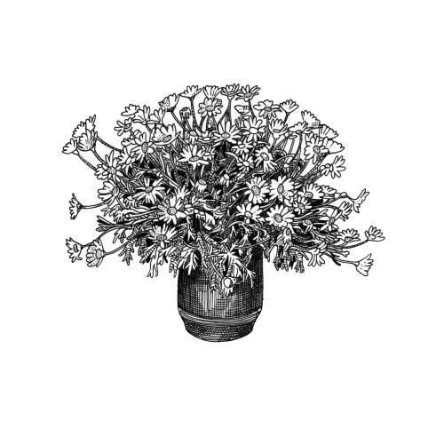Vaso de flores preto e branco