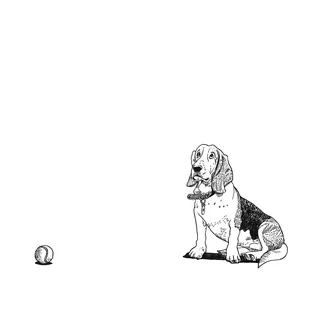 Beagle dog sitting with bone and ball black and white illustration by Matt Hollings