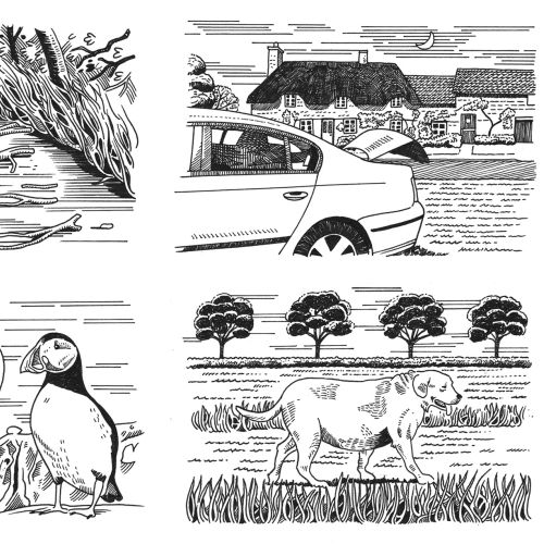 Matt Hollings In Black & White 国际生活方式插画家。曼彻斯特。英国