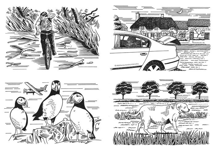 Black and white ink drawings of cyclist, puffins, car village scene, and cow by Matt Hollings