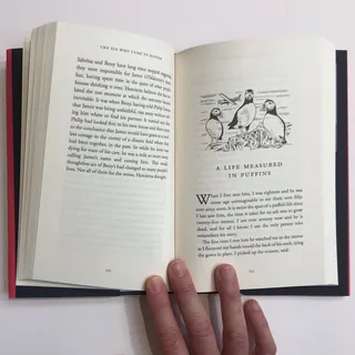 Open book page with puffins illustration by Matt Hollings