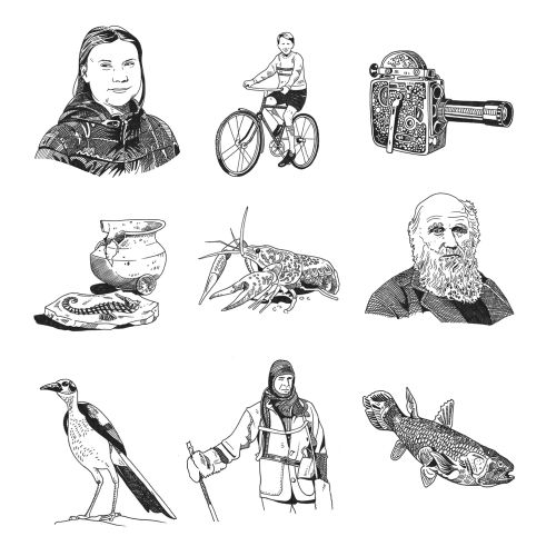 Line drawings of people, animals, and antique objects in black and white