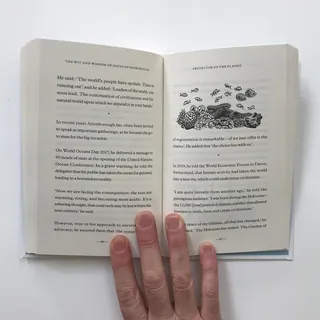 Hand holding open book with text and aquatic life drawings