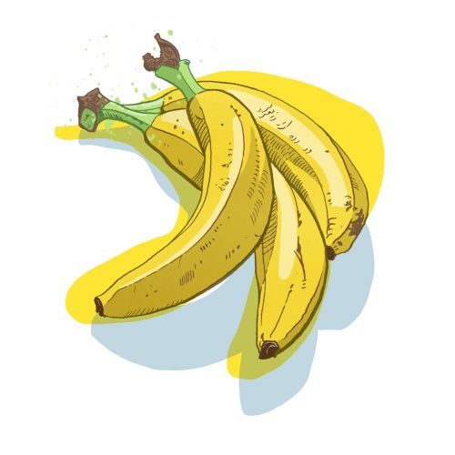 Matt Hollings In Colour International lifestyle illustrator. Manchester