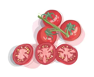 Tomato cluster and sliced tomatoes digital illustration by Matt Hollings In Colour