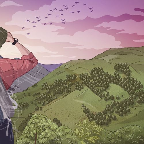 Person with backpack looking at mountains and birds at sunset