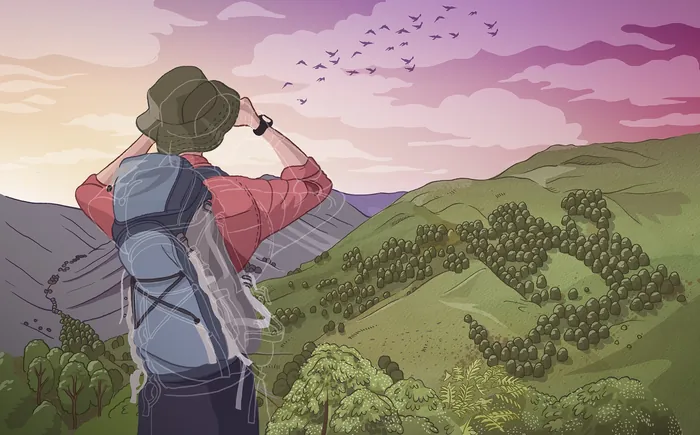 Person with backpack looking at mountains and birds at sunset