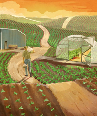 Pintura digital de granja de hortalizas. 