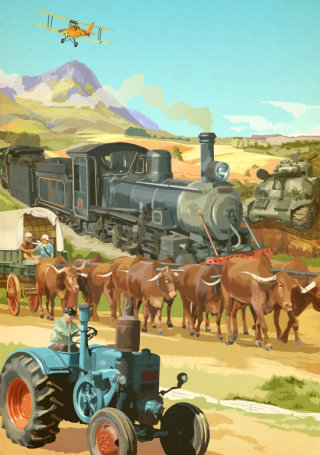 动物水牛和火车横穿