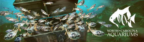 Ilustração de peixes