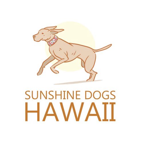 Animals Sunshine dogs hawaii
