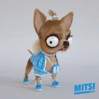 Animals funny dog MITSI
